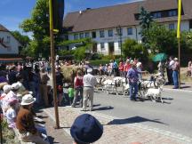 P1120626-small_1.jpg