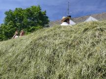 P1120750-small_1.jpg
