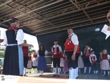 P1120808-small_1.jpg