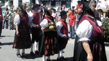 Tracht_2011(124)-small_1.jpg