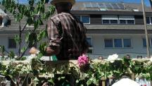 Tracht_2011(130)-small_1.jpg