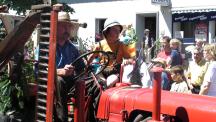 Tracht_2011(142)-small_1.jpg