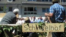 Tracht_2011(172)-small_1.jpg