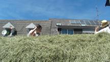 Tracht_2011(186)-small_1.jpg