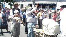 Tracht_2011(190)-small_1.jpg