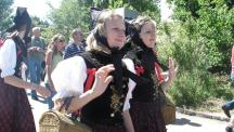Tracht_2011(239)-small_1.jpg