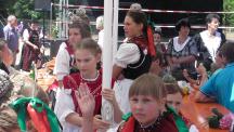 Tracht_2011(244)-small_1.jpg