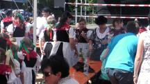 Tracht_2011(246)-small_1.jpg