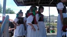 Tracht_2011(249)-small_1.jpg