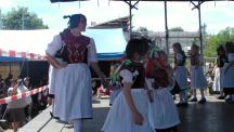 Tracht_2011(251)-small_1.jpg