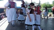 Tracht_2011(253)-small_1.jpg
