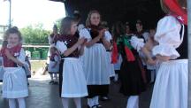 Tracht_2011(256)-small_1.jpg