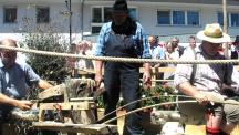 Tracht_2011(35)-small_1.jpg