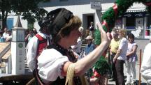 Tracht_2011(43)-small_1.jpg