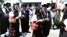 Tracht_2011(68)-small_1.jpg