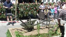 Tracht_2011(93)-small_1.jpg